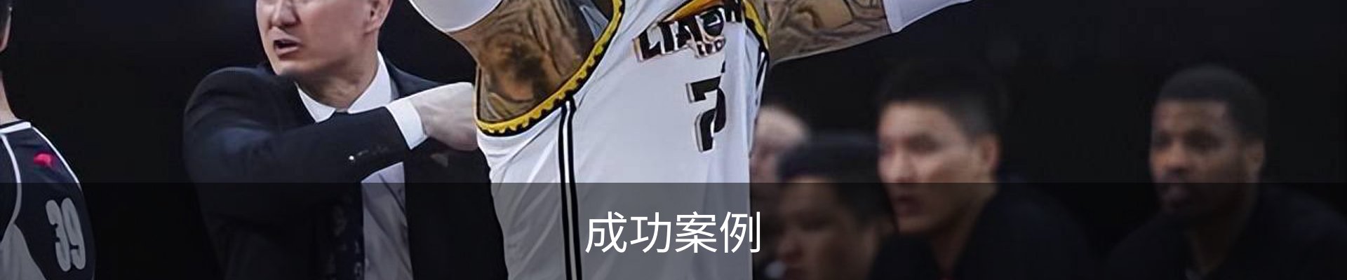成功案例