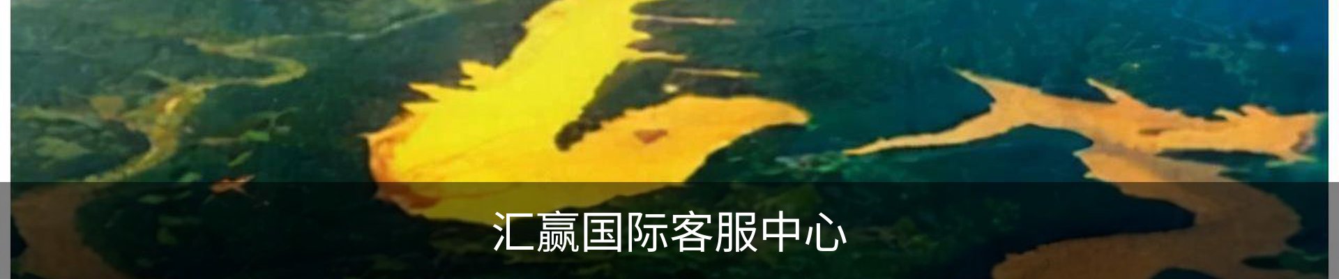 汇赢国际客服中心